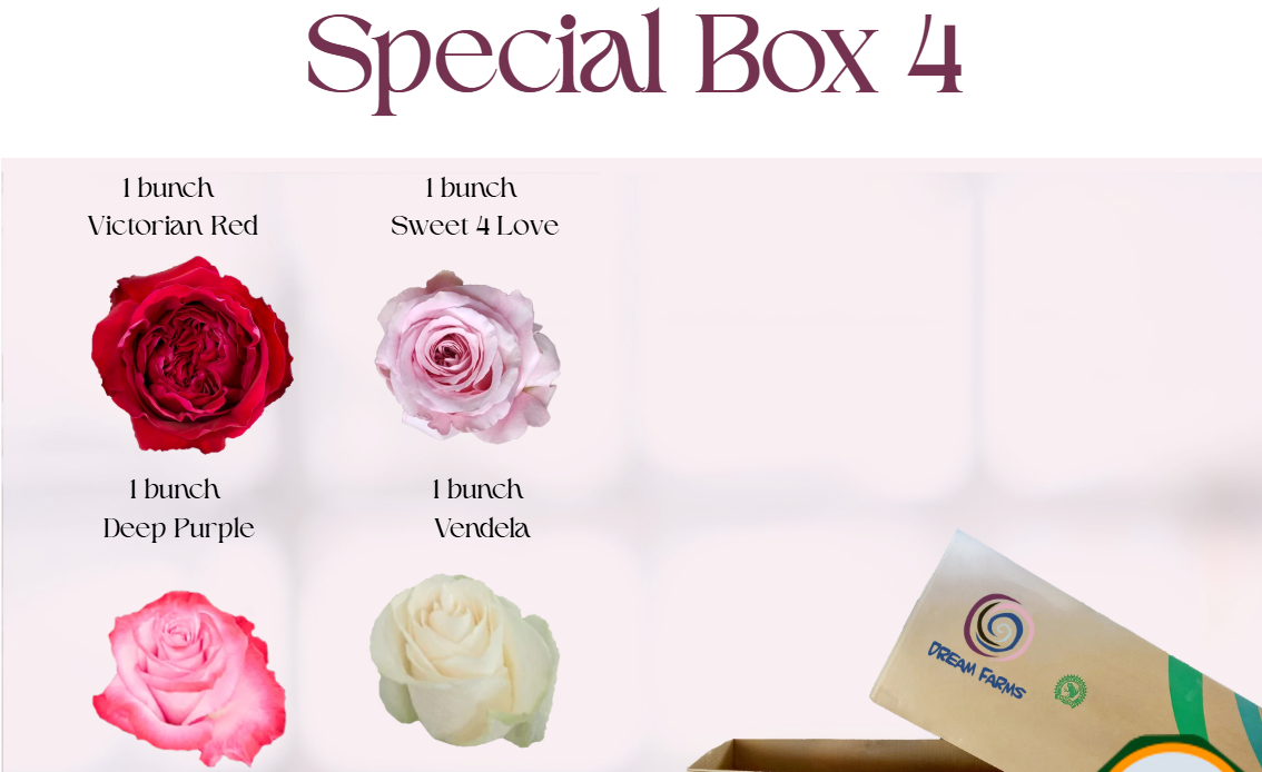 Special Box 4