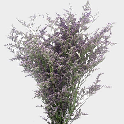 Grab Me! Petite Arrangements (Case of 12) - Single Design - Original
