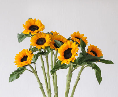 Sunflowers — Bold Focal Bloom (10-Stem Bunch)