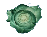 St Patrick Mist
