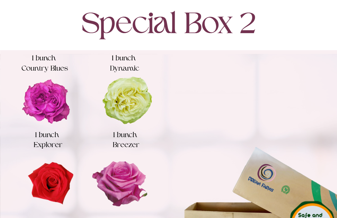 Special Box 2