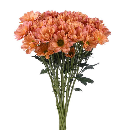 Pompón — Round Button Filler (10-Stem Bunch)