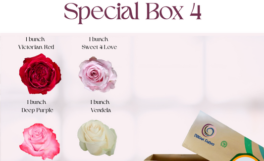 Special Box 4