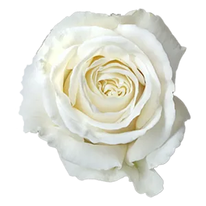 Playa Blanca (White)