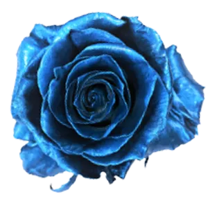 Metal Blue