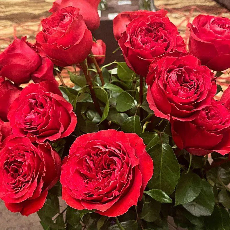 Victorian Red (Red)