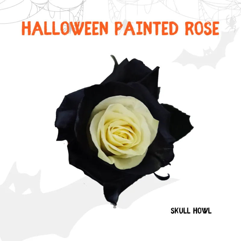 Tinted - Halloween Collection