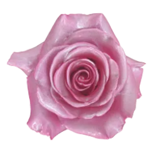 Metal Pink