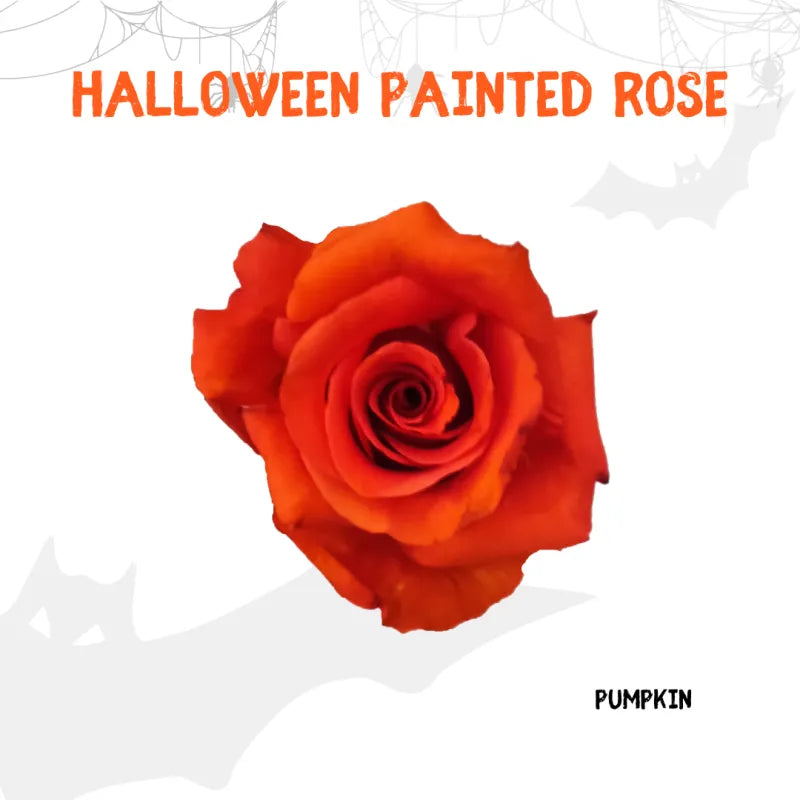 Tinted - Halloween Collection