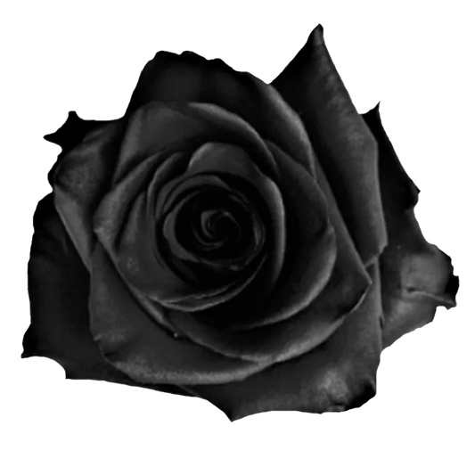 Onyx (Black)