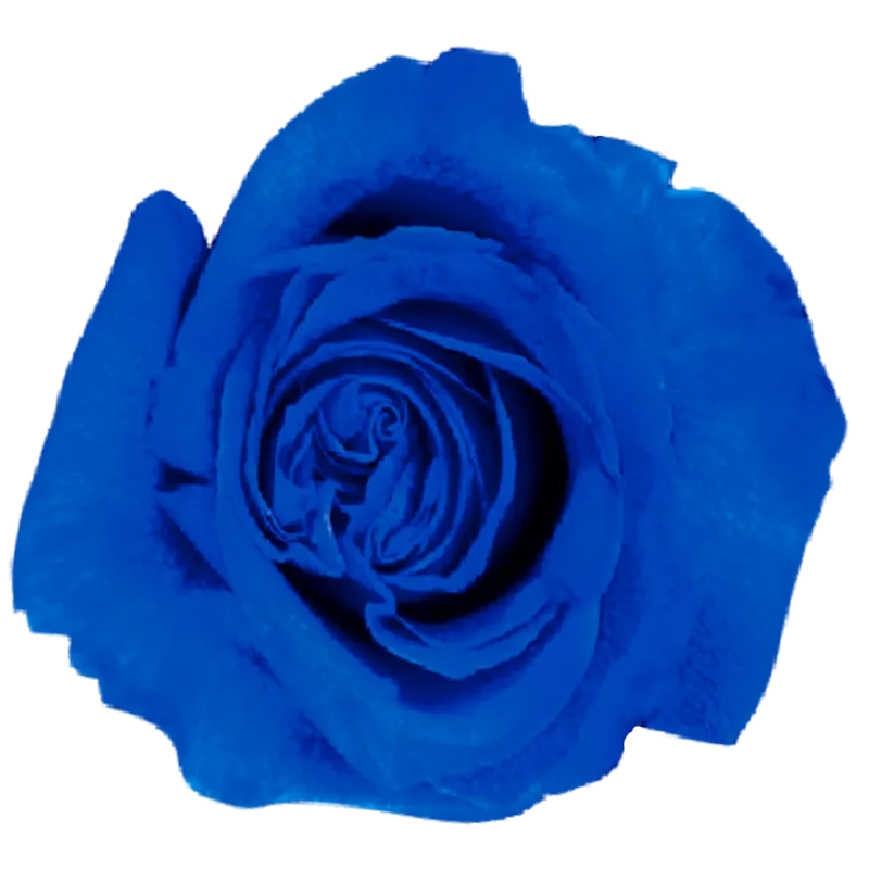 Saphire (Blue)