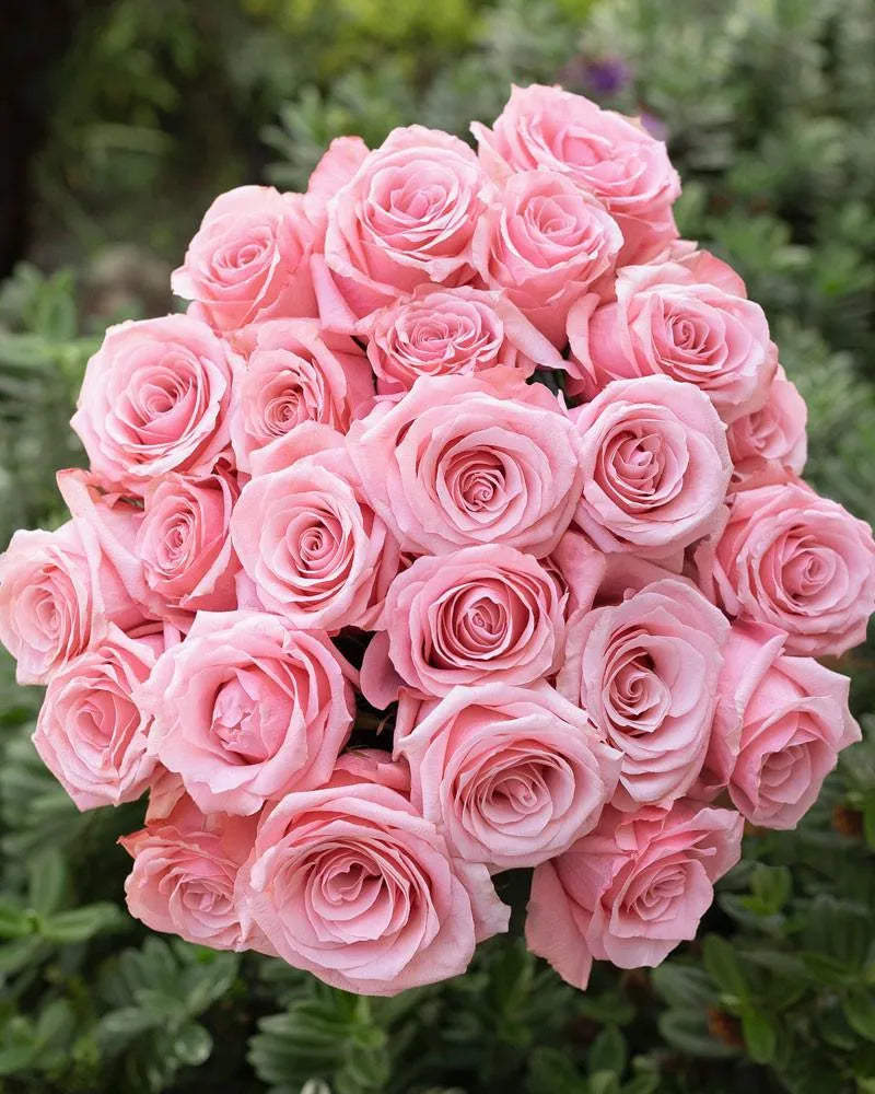 Be Sweet (Light Pink)