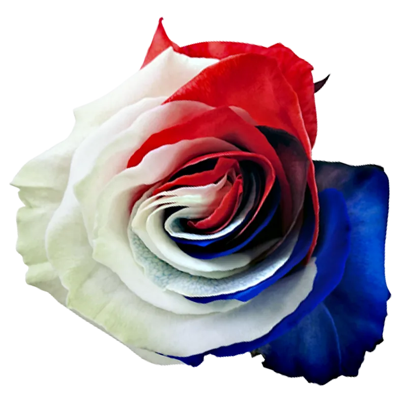 Tinted Liberty – Red, White & Blue