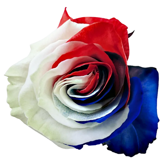 Tinted Liberty – Red, White & Blue