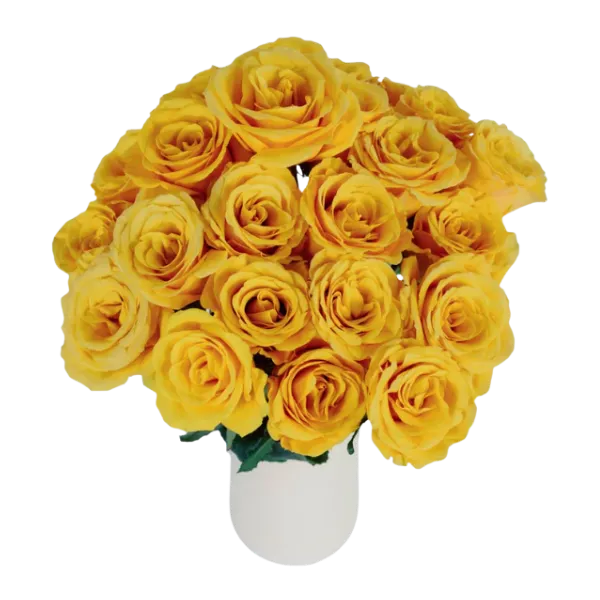 Bumblebee (Yellow)