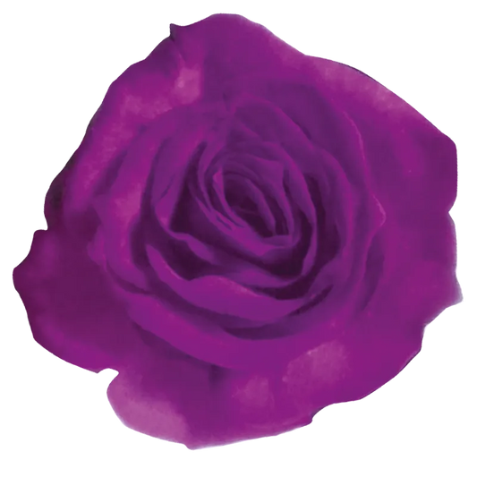 Amethyst (Purple)