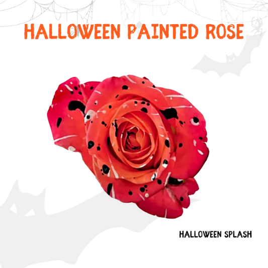 Tinted - Halloween Collection