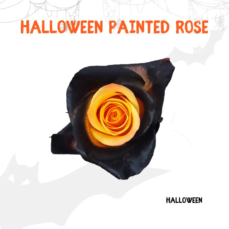 Tinted - Halloween Collection