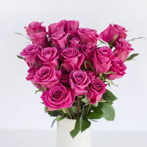 Breezer (Hot Pink)